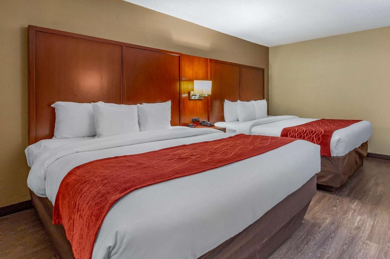 Comfort Inn Fort Mill Amusement Park At Carowinds Blvd Zewnętrze zdjęcie